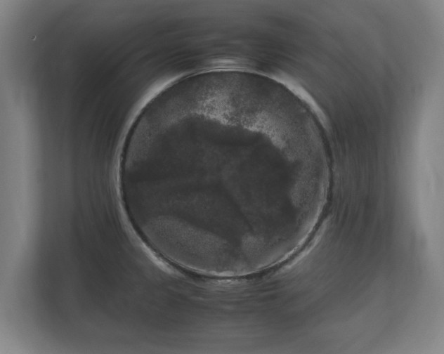 X0000111121333200907070950