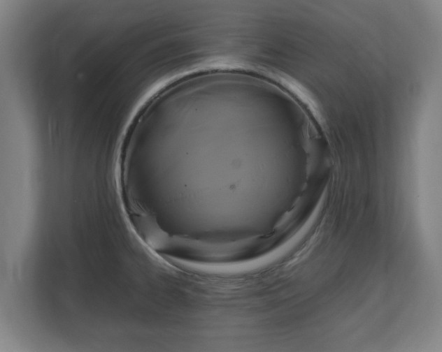 X0000111121334200907070950