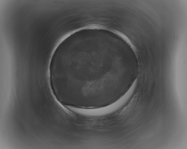 X0000111121335200907070950