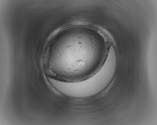 X0000111121338200907070950