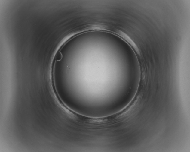 X0000111121339200907070950