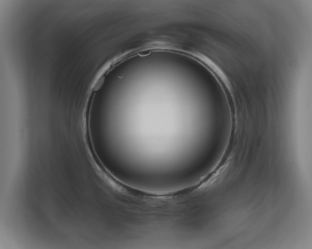 X0000111121341200907070950