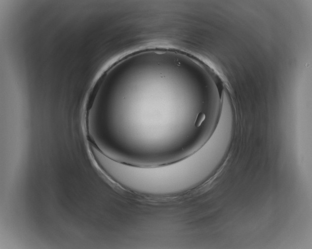 X0000111121342200907070950