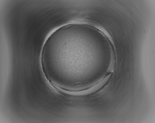 X0000111121344200907070950