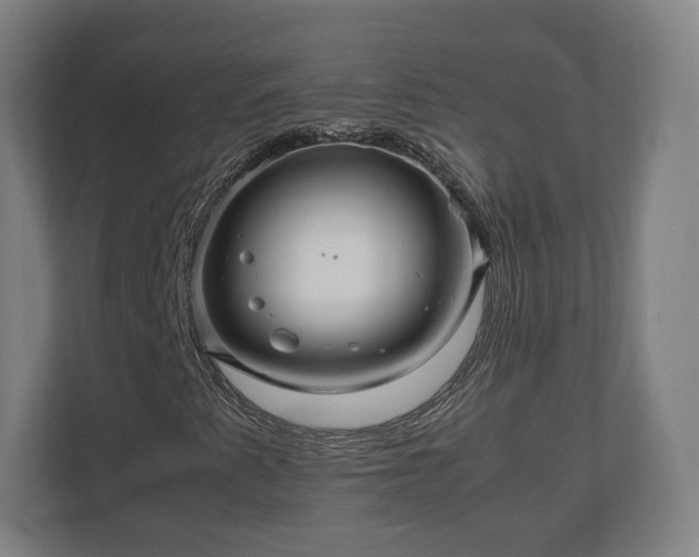 X0000111121345200907070949