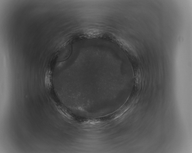 X0000111121346200907070949