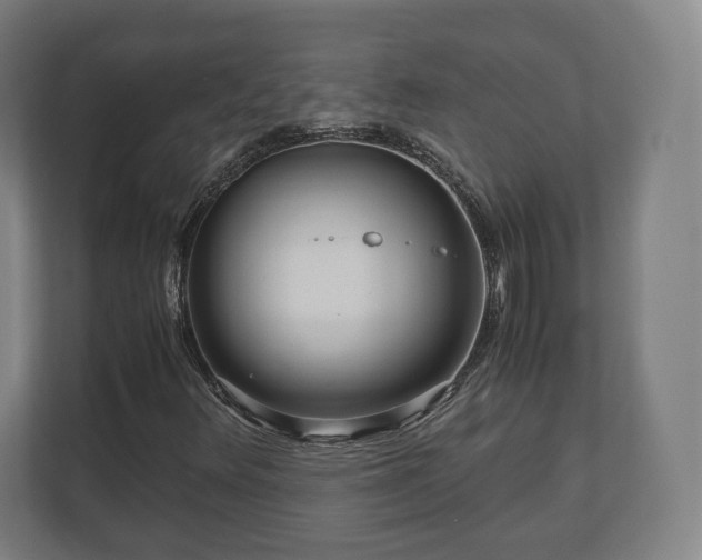 X0000111121348200907070949