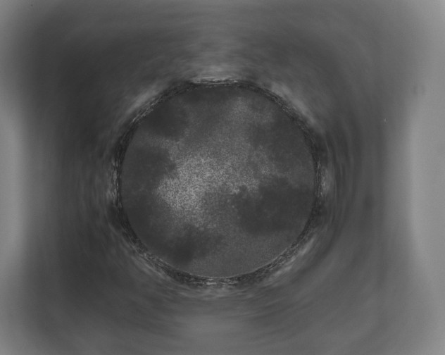 X0000111121350200907070949