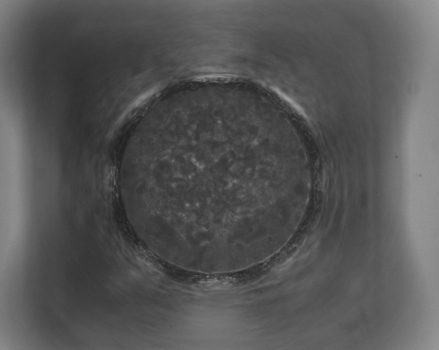 X0000111121351200907070949