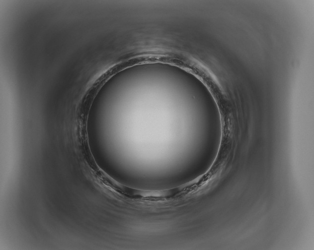 X0000111121352200907070949