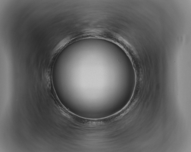 X0000111121354200907070949