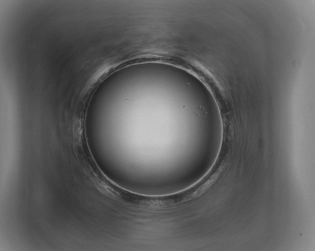 X0000111121355200907070949