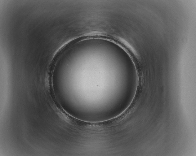 X0000111121356200907070949