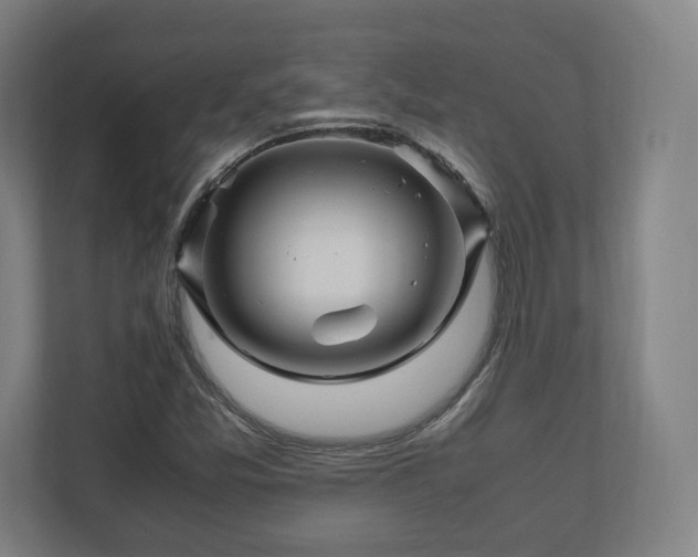 X0000111121357200907070949