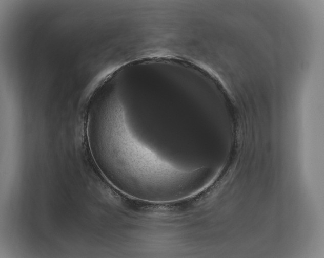 X0000111121359200907070949