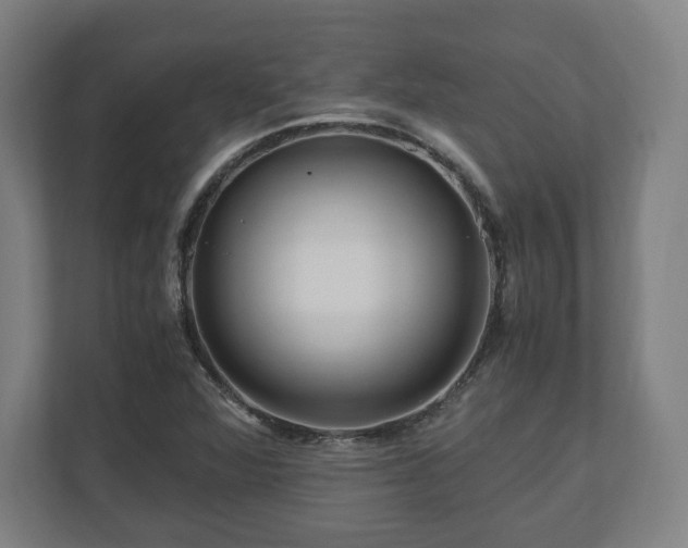 X0000111121360200907070949