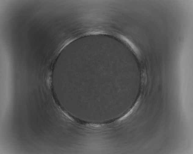 X0000111121361200907070949