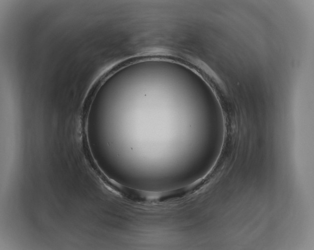 X0000111121364200907070949