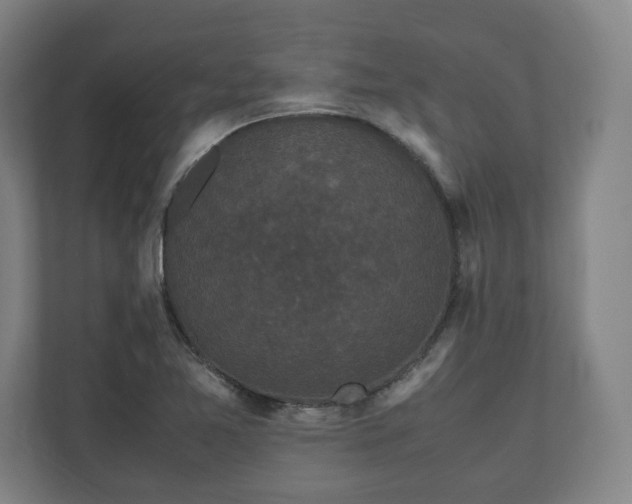 X0000111121365200907070949