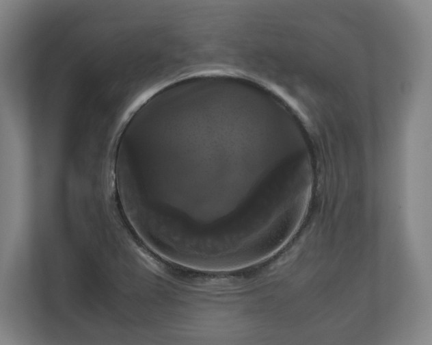 X0000111121367200907070949