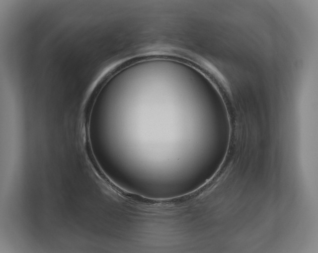 X0000111121368200907070949