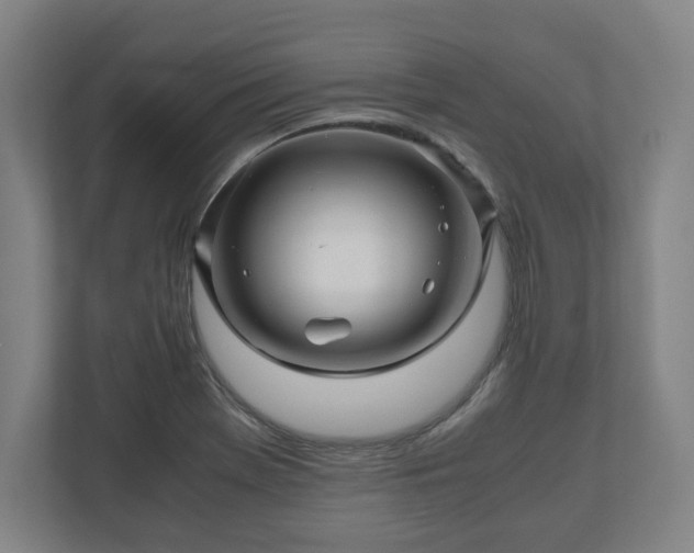 X0000111121369200907070949