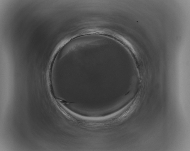 X0000111121373200907070949