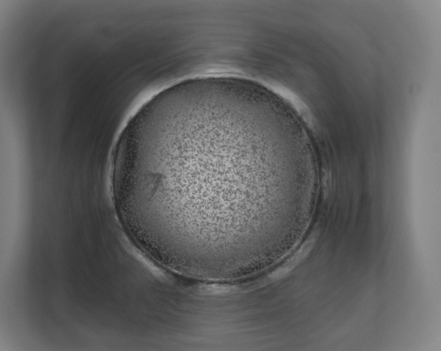 X0000111121374200907070949