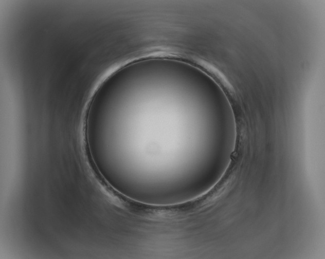 X0000111121375200907070949