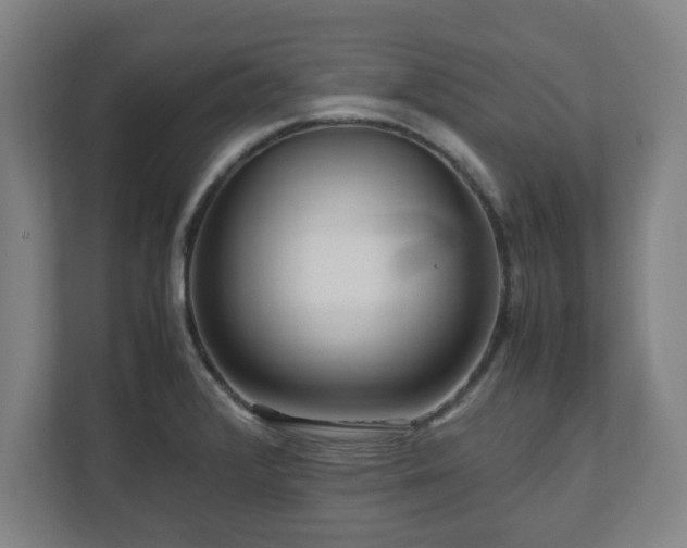 X0000111121376200907070949