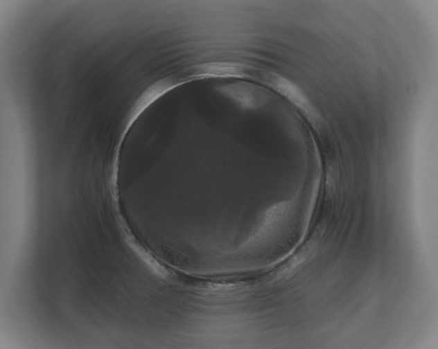 X0000111121378200907070949