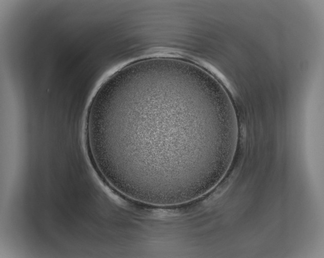 X0000111121379200907070949