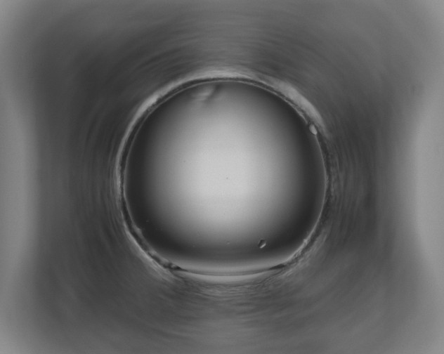 X0000111121380200907070949