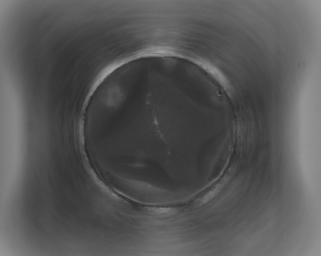 X0000111121382200907070949