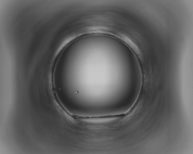 X0000111121384200907070949