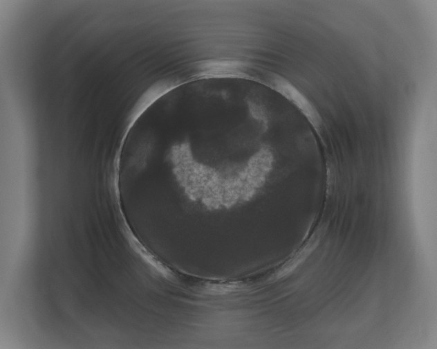 X0000111121386200907070949