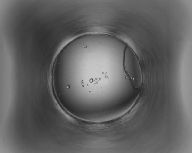 X0000111121387200907070949