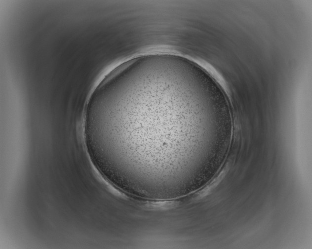 X0000111121390200907070949