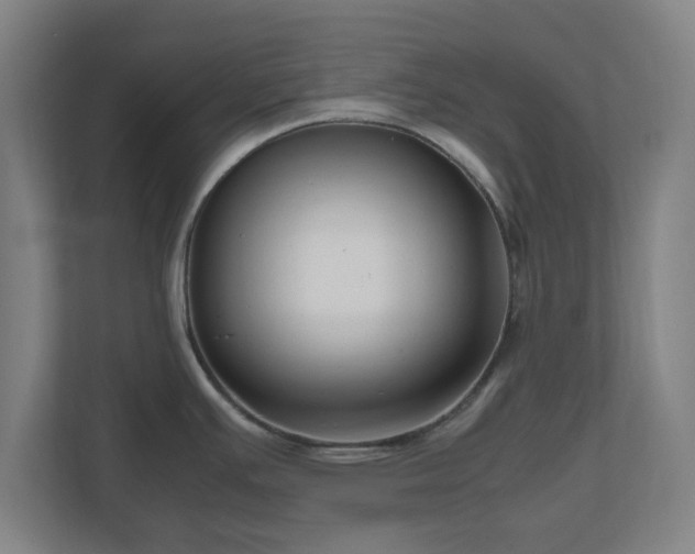 X0000111121391200907070949