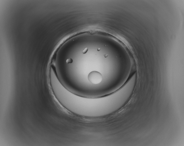 X0000111121392200907070949