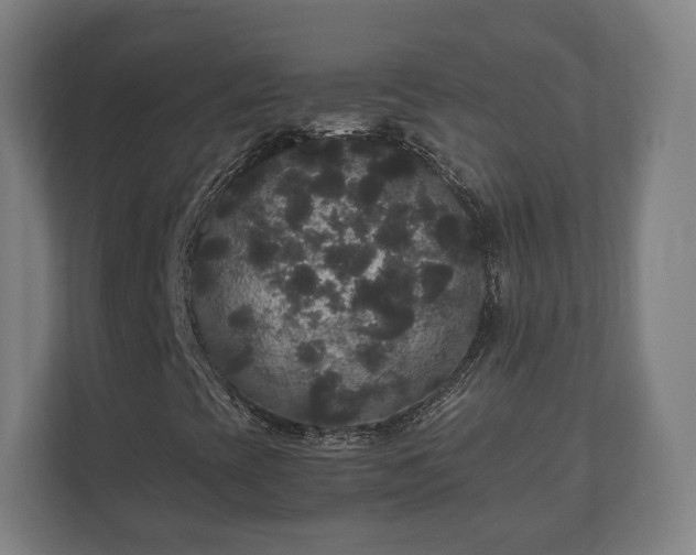 X0000111121393200907070948