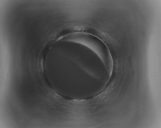 X0000111121394200907070948