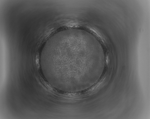 X0000111121396200907070948