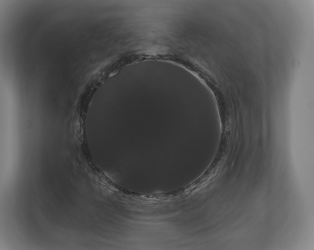 X0000111121398200907070948