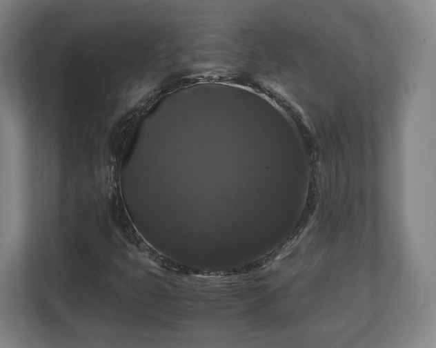 X0000111121399200907070948