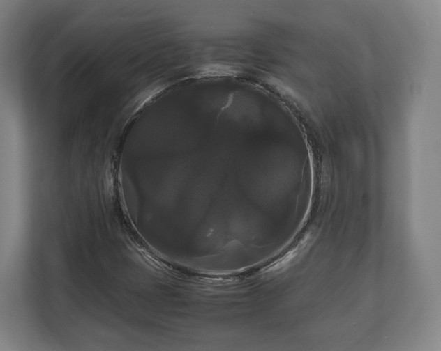 X0000111121401200907070948