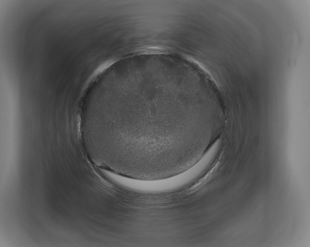 X0000111121402200907070948