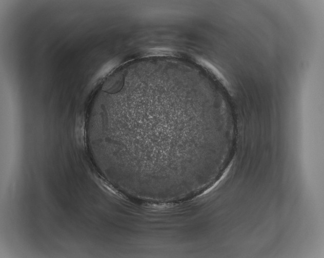 X0000111121403200907070948