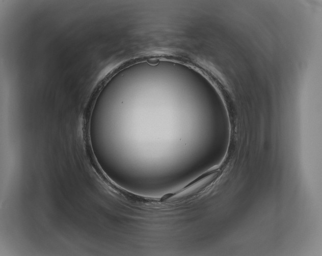 X0000111121404200907070948