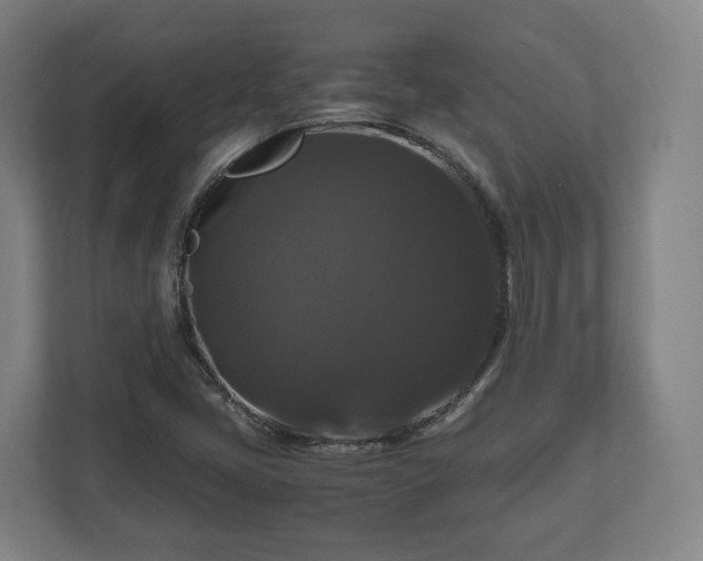 X0000111121405200907070948